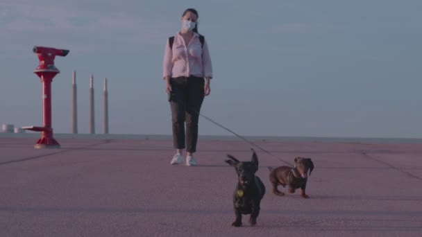 Early morning or night in a square a brunette long hair girl in a medical mask walks two running dachshund dogs — Stock Video