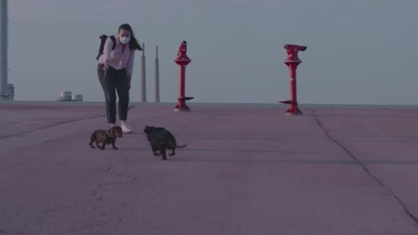 Early morning or night in a square a caucasian young woman in a medical mask walks two running dachshund dogs — Stock Video