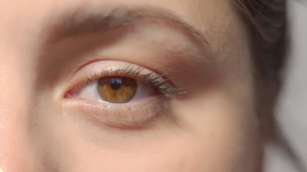 Caucásico chica marrón ojo está abriendo y cerrando su hermoso ojo. Macro primer plano parpadeando. Video de alta calidad. — Vídeos de Stock