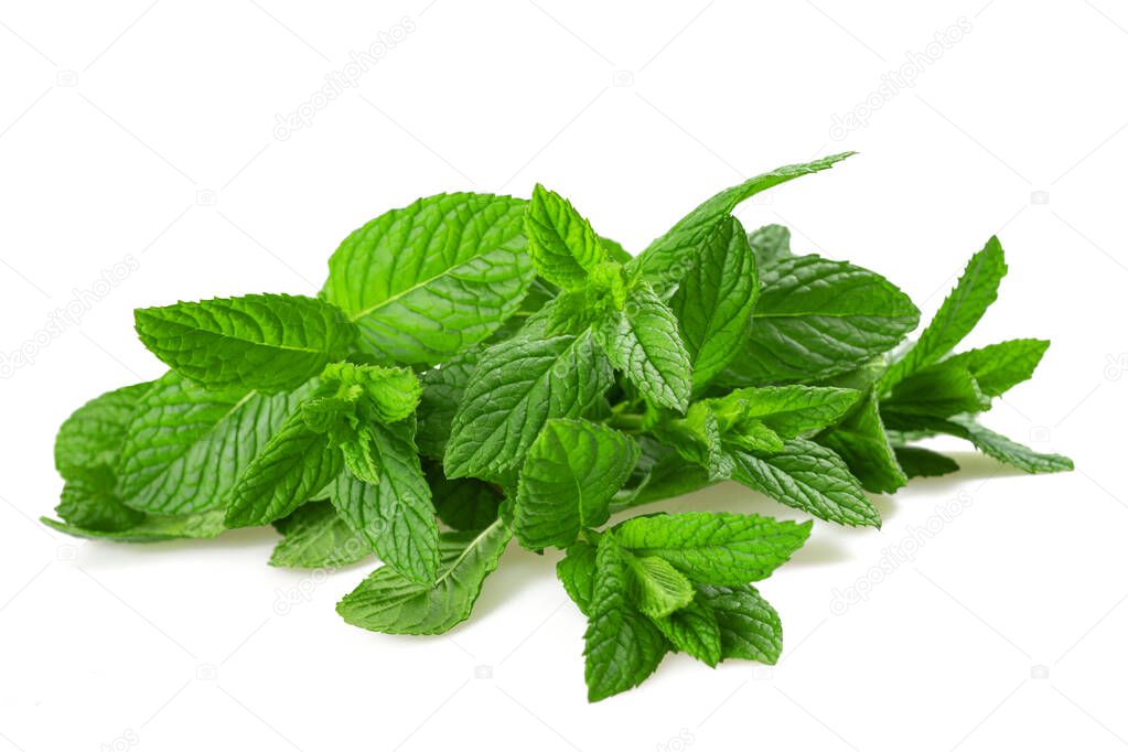 Fresh mint isolated on white background 