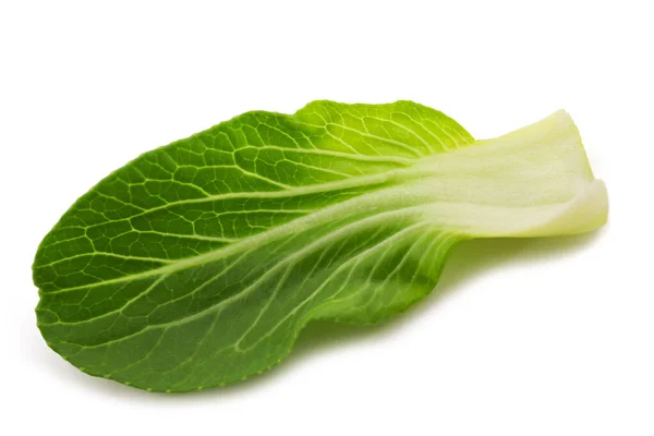 Fehérre Izolált Pak Choi Brassica Rapa Chinensis — Stock Fotó