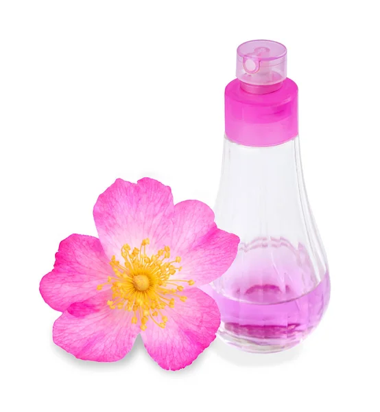 Rose Hip Spray Bottle Isolated White — Stock fotografie