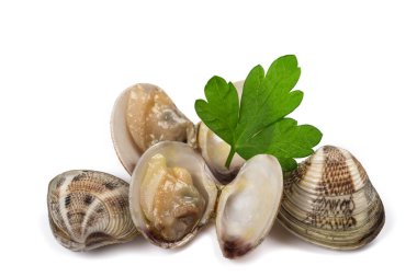 İstiridye grubu beyaz arkaplanda izole edildi