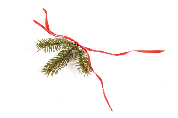 Spruce Branch Red Ribbon Isolated White Background — Stock Photo, Image