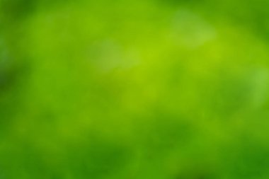 Yeşil Bulanık Doku ve Arkaplan