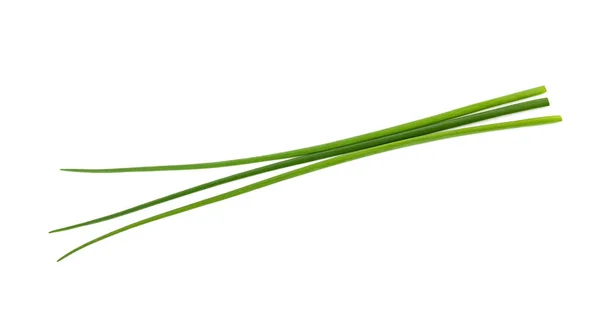 Fresh Chives Isolated White Background — Stock Photo, Image