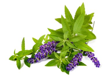 Limon verbena ve lavanta