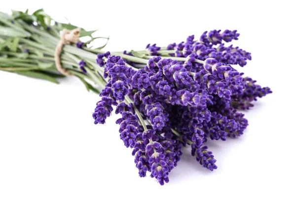 Lavanda Flores Cacho Amarrado Isolado Fundo Branco — Fotografia de Stock