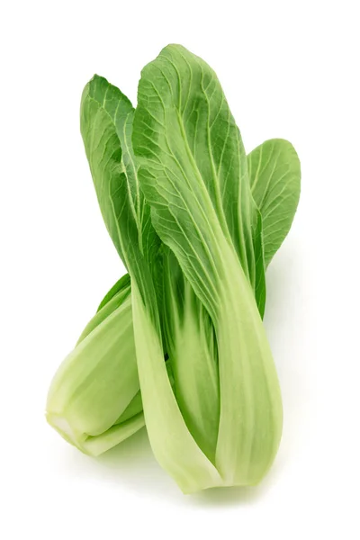 Pak Choi Brassica Rapa Chinensis Isolado Sobre Branco — Fotografia de Stock