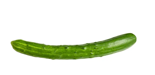 Cucumber — Stock Photo, Image