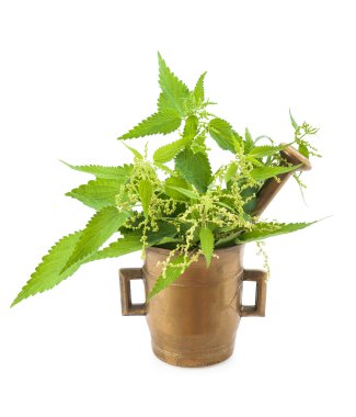 Nettles harç içinde