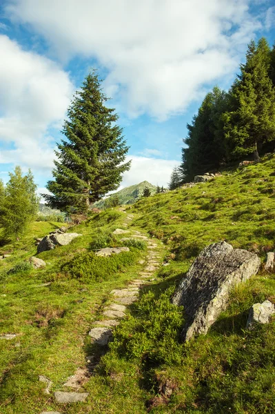 stock image Mountain landscape