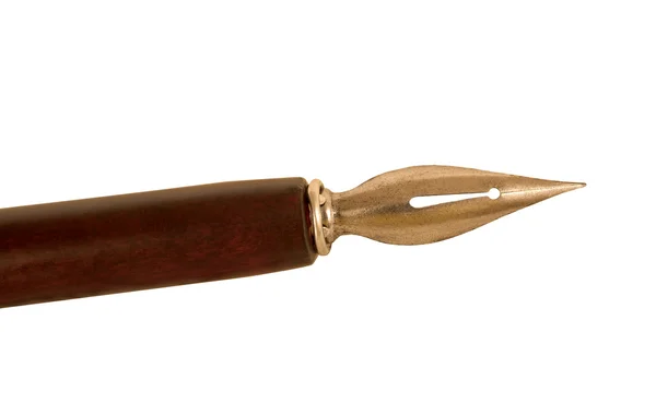 Kuřecí pero — Stock fotografie