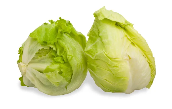 Iceberg lettuce — Stock Photo, Image