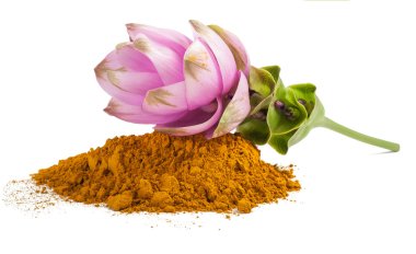 Curcuma