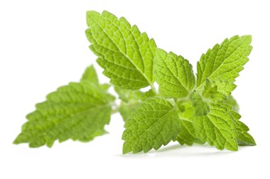 Limon merhemi