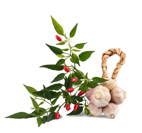 Peperoncino e aglio — Foto Stock