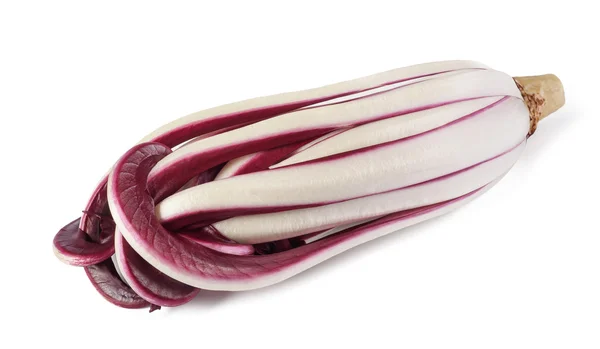 Radicchio Rosso di Treviso — Fotografia de Stock