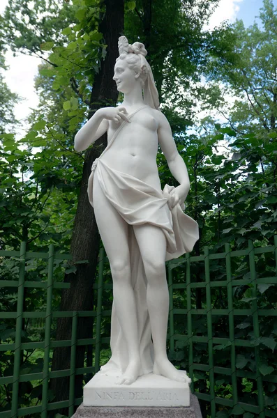 Hava, Yaz Bahçesi, Saint Petersburg perisi