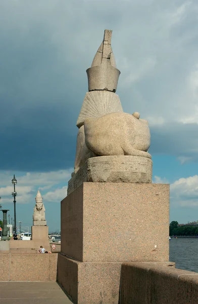 Sphingen am universitetskaja-damm, heiliger petersburg — Stockfoto