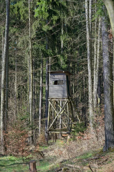 Stand de chasse, Allemagne — Photo