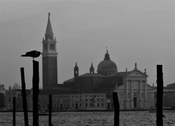 Venecia Italia Diciembre 2018 Evocadora Imagen Blanco Negro Iglesia San — Foto de Stock