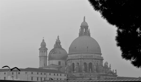 Venecia Italia Diciembre 2018 Evocadora Imagen Blanco Negro Canal Venecia —  Fotos de Stock