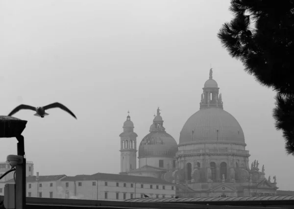 Benátky Itálie Prosince 2018 Evokativní Černobílý Obraz Benátského Kanálu Kopulí — Stock fotografie
