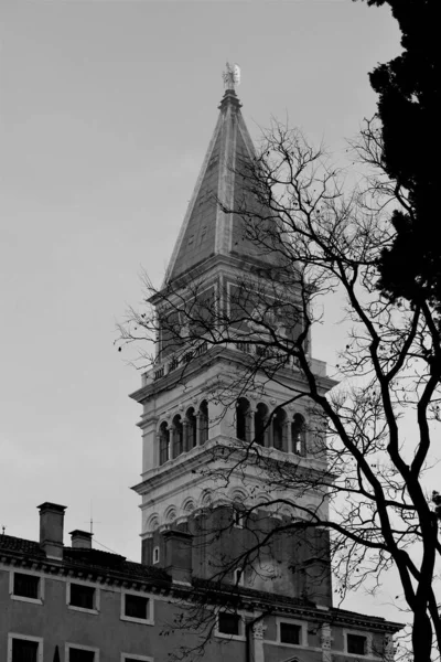 Benátky Itálie Prosince 2018 Evokativní Obraz Kostelní Věže Mezi Větvemi — Stock fotografie