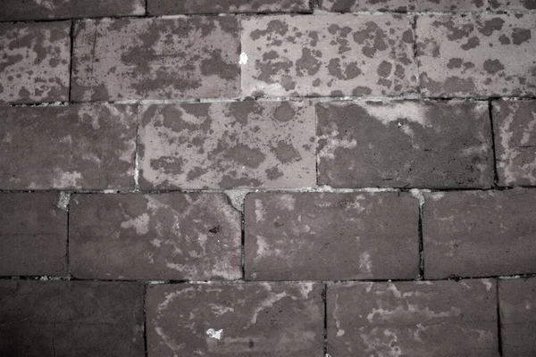 Evocative Black White Image Brick Floor Texture — Stock Photo, Image