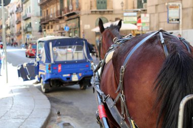 İtalya 'nın başkenti Palermo' da turistler için at arabasıyla, arka planda turistler için üç tekerlekli scooterla bekleyen bir yer.