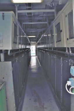 Evcil hayvanlar için kafesleri olan bir feribot koridorunun canlandırıcı görüntüsü.