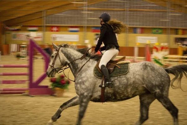 Levensecht Close Upbeeld Van Het Paard Tijdens Een Wedstrijd — Stockfoto