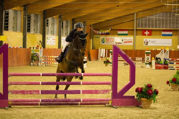 2019 Tortona Centre Équestre Cheval Jockey Concourant Lors Une Compétition — Photo