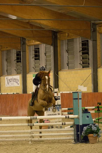 2019 Tortona Cavalo Centro Equestre Jóquei Competindo Durante Uma Competição — Fotografia de Stock