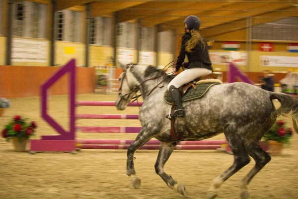 2019 Tortona Cavalo Centro Equestre Jóquei Competindo Durante Uma Competição — Fotografia de Stock