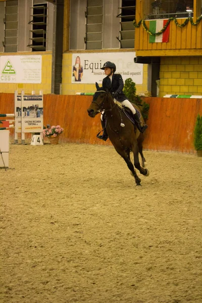 2019 Tortona Cavalo Centro Equestre Jóquei Competindo Durante Uma Competição — Fotografia de Stock