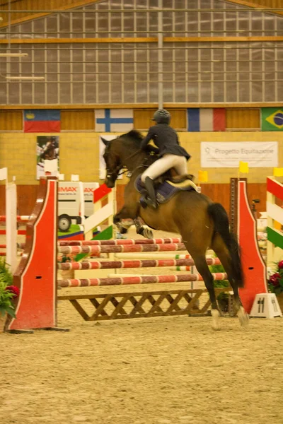 2019 Tortona Cavalo Centro Equestre Jóquei Competindo Durante Uma Competição — Fotografia de Stock