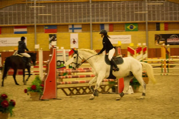 2019 Tortona Equestrian Center Koń Dżokej Rywalizują Podczas Zawodów Equestrian — Zdjęcie stockowe