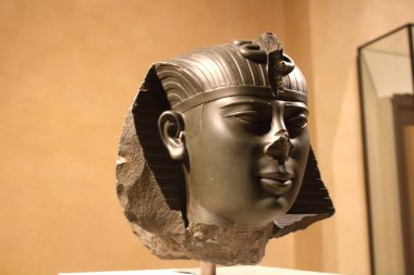 Müze adasındaki 2018.06.11 Berlin Yeni Müzesi, başlangıçta Mısır 'da Nefertiti' nin Baskını gibi olağanüstü değerli parçaların bulunduğu bir koleksiyona ev sahipliği yapmaktadır.