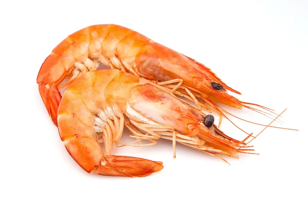 Two langoustines — Stock Photo, Image