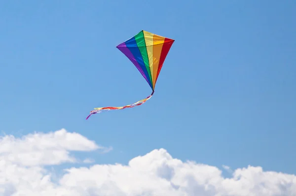 Kite 's colors — стоковое фото