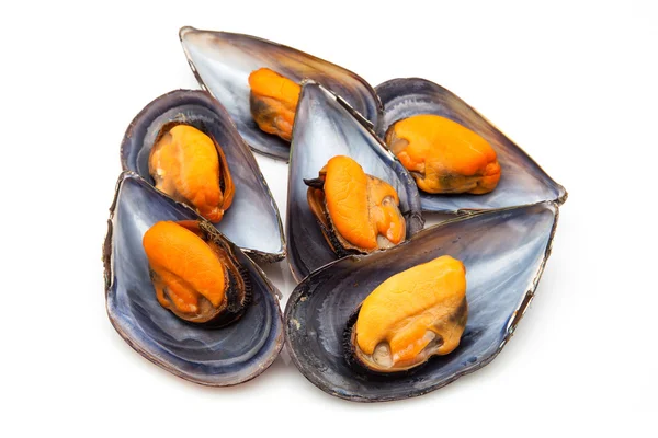 Moules — Photo