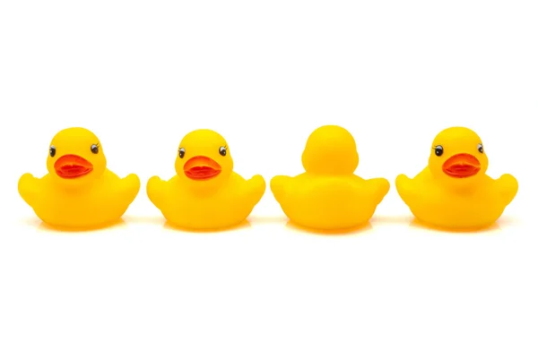 Four ducks rubbe — Stock Photo, Image