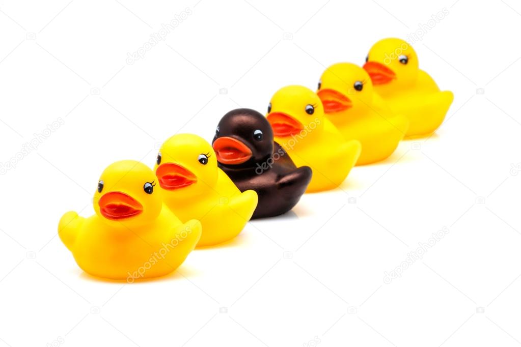 ducks line