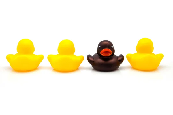 Four rubber ducks — Stock Photo, Image