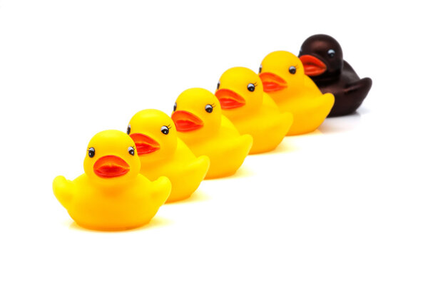 Резиновые утки
