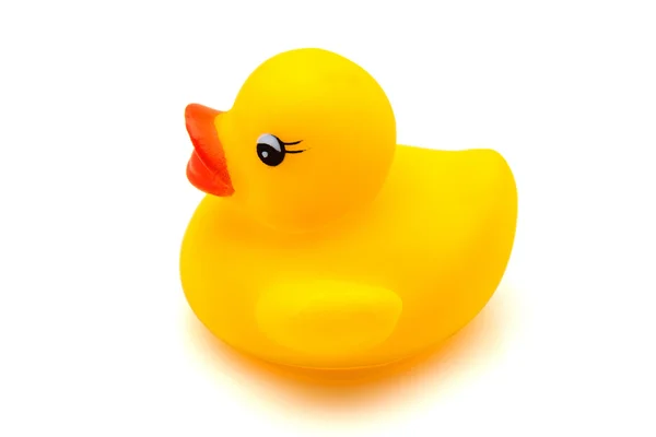 Yellow gum duck — Stock Photo, Image