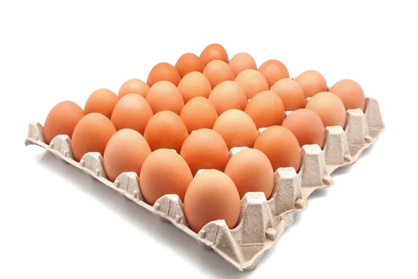 Chicken eggs — Stock Photo, Image