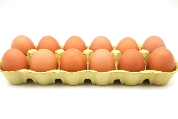 Дюжина яиц — стоковое фото